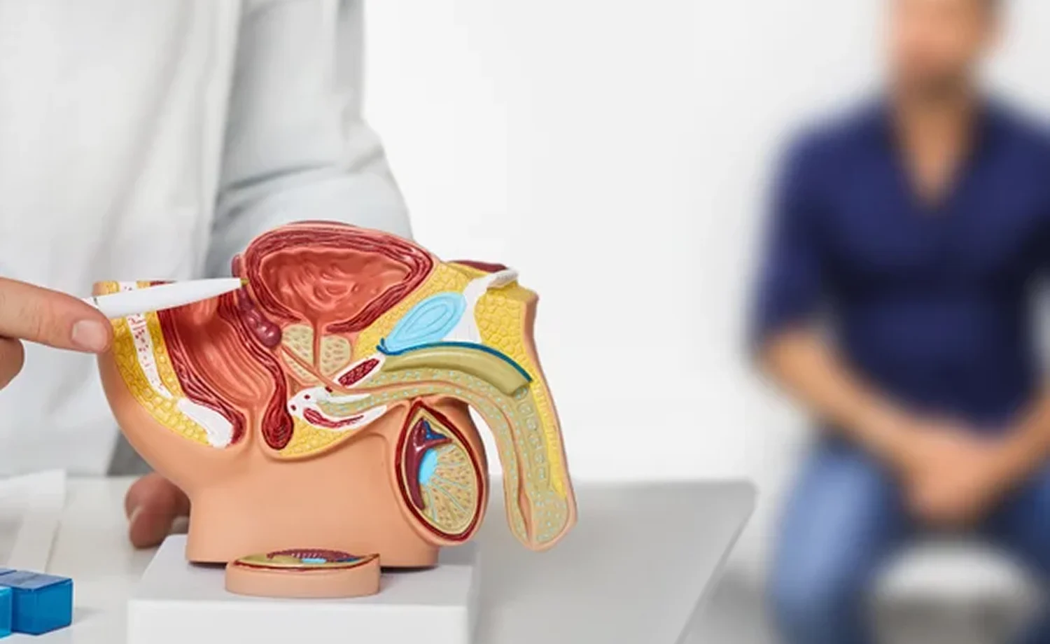 Prostat Kanseri Belirtileri Nelerdir?